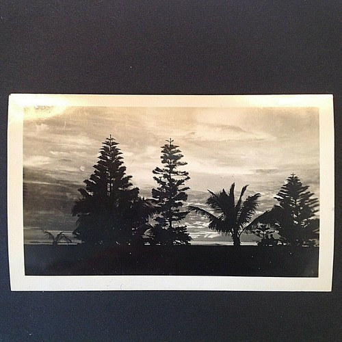Vintage 1930 s photograph - vintage, 1930's-40's
